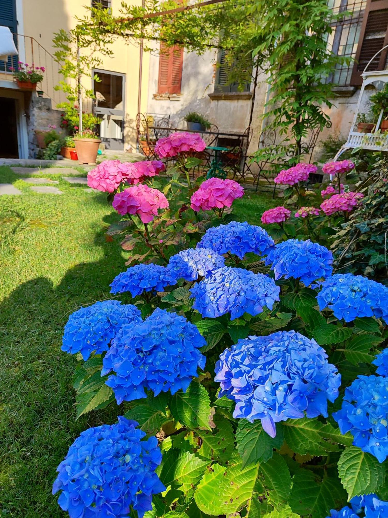 Casa Lumaca Bed and Breakfast Tremezzo Buitenkant foto